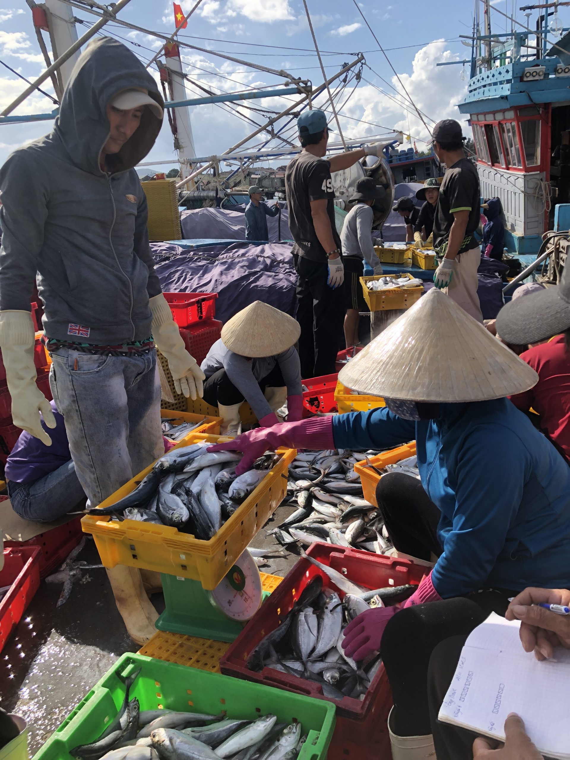 Cá sòng chắm nước mắm cá cơm tươi