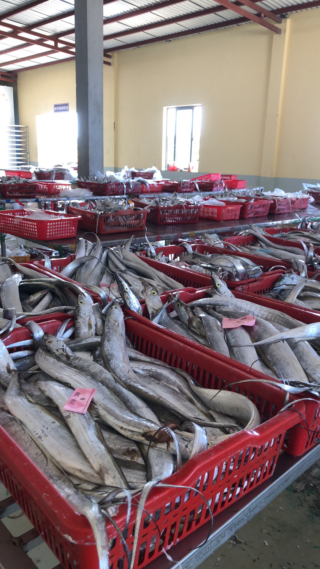 Cá hố giá rẻ shopee